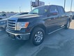 2013 Ford F-150 4WD Lariat SuperCrew thumbnail image 08