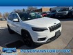 2020 Jeep Cherokee 2WD Altitude thumbnail image 01
