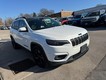 2020 Jeep Cherokee 2WD Altitude thumbnail image 06