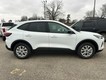2026 Ford Escape Active thumbnail image 02