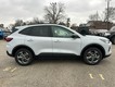 2026 Ford Escape ST-Line thumbnail image 02