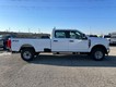2026 Ford Super Duty F-350 SRW XL thumbnail image 02