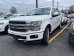 2020 Ford F-150 4WD Platinum SuperCrew thumbnail image 06