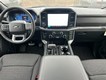 2025 Ford F-150 XLT thumbnail image 05