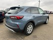 2026 Ford Escape Active thumbnail image 03