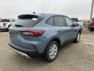 2026 Ford Escape Active thumbnail image 03