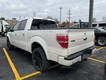 2013 Ford F-150 4WD Limited SuperCrew thumbnail image 10