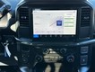 2025 Ford F-150 STX thumbnail image 07