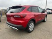 2026 Ford Escape Active thumbnail image 03