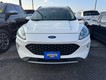2020 Ford Escape SEL thumbnail image 07