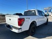 2025 Ford F-150 XLT thumbnail image 03