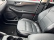 2020 Ford Escape Titanium Hybrid thumbnail image 13