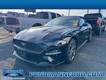 2019 Ford Mustang EcoBoost Premium thumbnail image 01