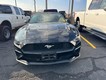 2019 Ford Mustang EcoBoost Premium thumbnail image 02