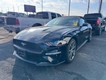 2019 Ford Mustang EcoBoost Premium thumbnail image 06