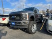 2023 Ford Super Duty F-350 SRW 4WD Lariat Crew Cab thumbnail image 06