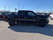 2026 Ford F-150 XLT 4WD SuperCrew Box thumbnail image 02