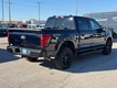 2026 Ford F-150 XLT 4WD SuperCrew Box thumbnail image 03