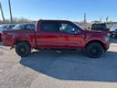 2026 Ford F-150 XLT 4WD SuperCrew Box thumbnail image 02