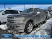 2019 Ford F-150 4WD Platinum SuperCrew thumbnail image 01