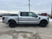 2025 Ford F-150 XLT thumbnail image 02