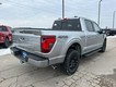 2025 Ford F-150 XLT thumbnail image 03