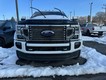 2021 Ford Super Duty F-450 DRW 4WD Limited Crew Cab thumbnail image 07