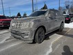 2021 Ford Expedition Limited thumbnail image 06