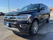 2024 Ford Expedition Max Limited thumbnail image 08