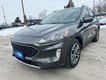 2020 Ford Escape SEL thumbnail image 08