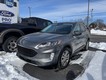 2022 Ford Escape SEL thumbnail image 06