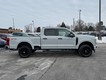 2025 Ford Super Duty F-250 SRW 4WD STX thumbnail image 02