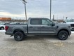 2026 Ford F-150 STX thumbnail image 02