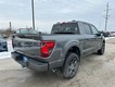 2026 Ford F-150 STX thumbnail image 03