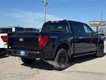 2025 Ford F-150 XLT thumbnail image 03