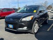 2013 Ford Escape SEL thumbnail image 05