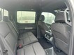 2026 Ford F-150 XLT thumbnail image 04