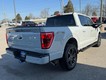 2023 Ford F-150 4WD XLT SuperCrew thumbnail image 03