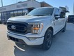 2023 Ford F-150 4WD XLT SuperCrew thumbnail image 08