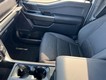 2023 Ford F-150 4WD XLT SuperCrew thumbnail image 13