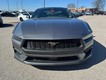 2025 Ford Mustang EcoBoost Premium thumbnail image 09