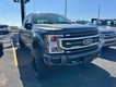 2020 Ford Super Duty F-250 SRW 4WD Platinum Crew Cab thumbnail image 03