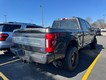 2020 Ford Super Duty F-250 SRW 4WD Platinum Crew Cab thumbnail image 09