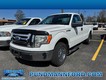 2010 Ford F-150 2WD XL Reg Cab thumbnail image 01