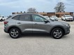 2025 Ford Escape ST-Line Select thumbnail image 02