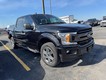 2019 Ford F-150 4WD XLT SuperCrew thumbnail image 06