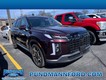 2023 Hyundai Palisade Limited thumbnail image 01
