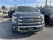 2017 Ford F-150 4WD Platinum SuperCrew thumbnail image 08