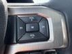 2017 Ford F-150 4WD Platinum SuperCrew thumbnail image 18