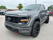 2025 Ford F-150 XL thumbnail image 08
